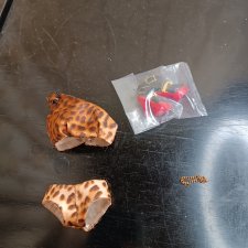 Аутфит от Лючии