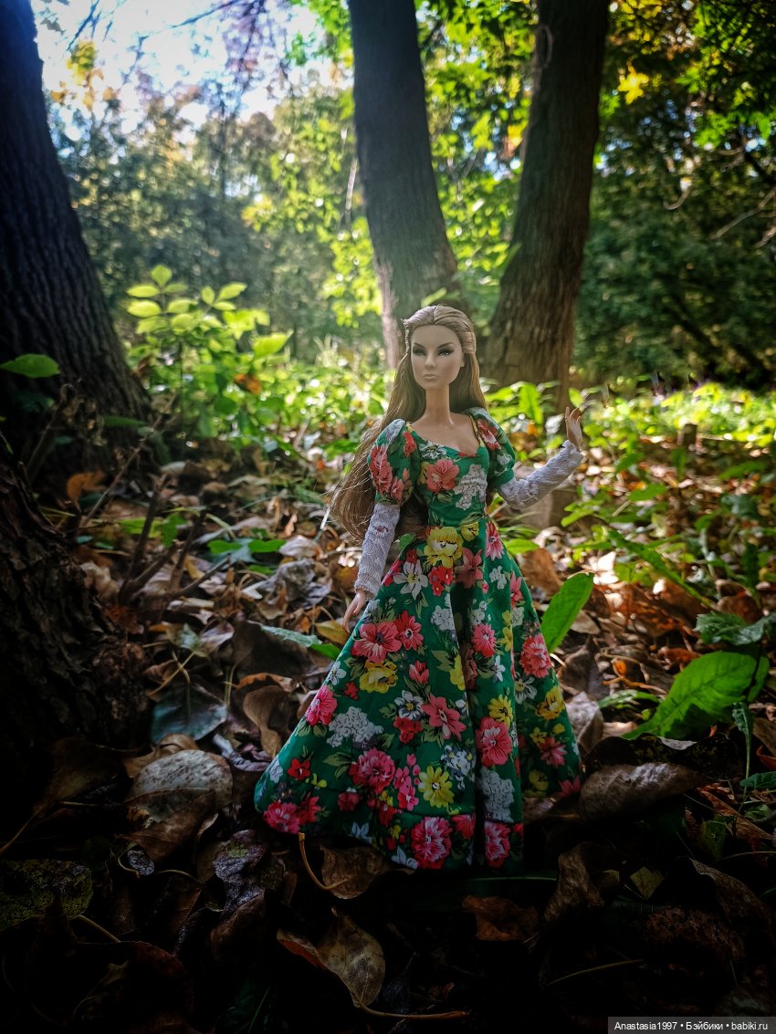 Осенняя прогулка недавно прибывших