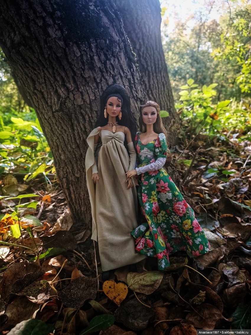 Осенняя прогулка недавно прибывших