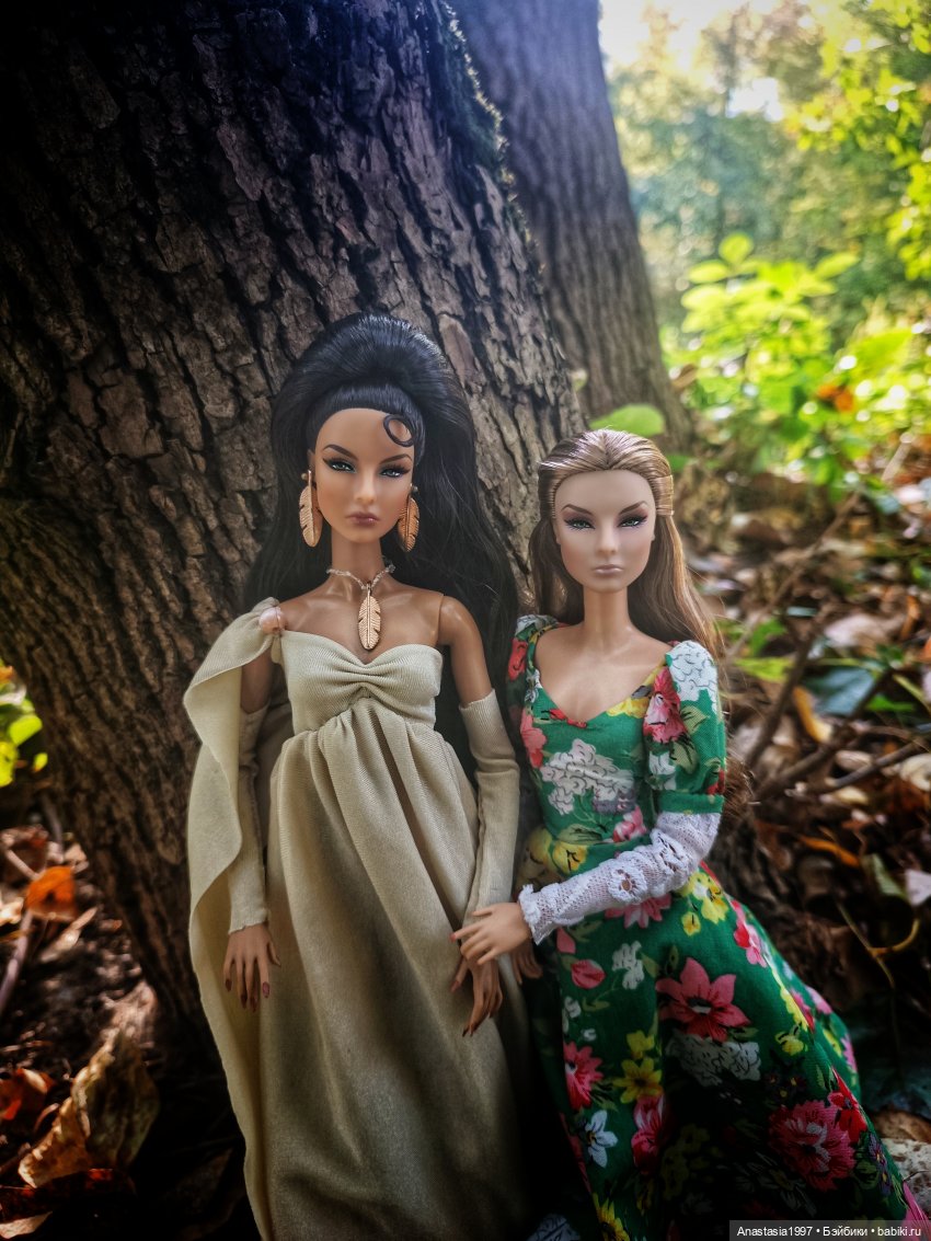 Осенняя прогулка недавно прибывших