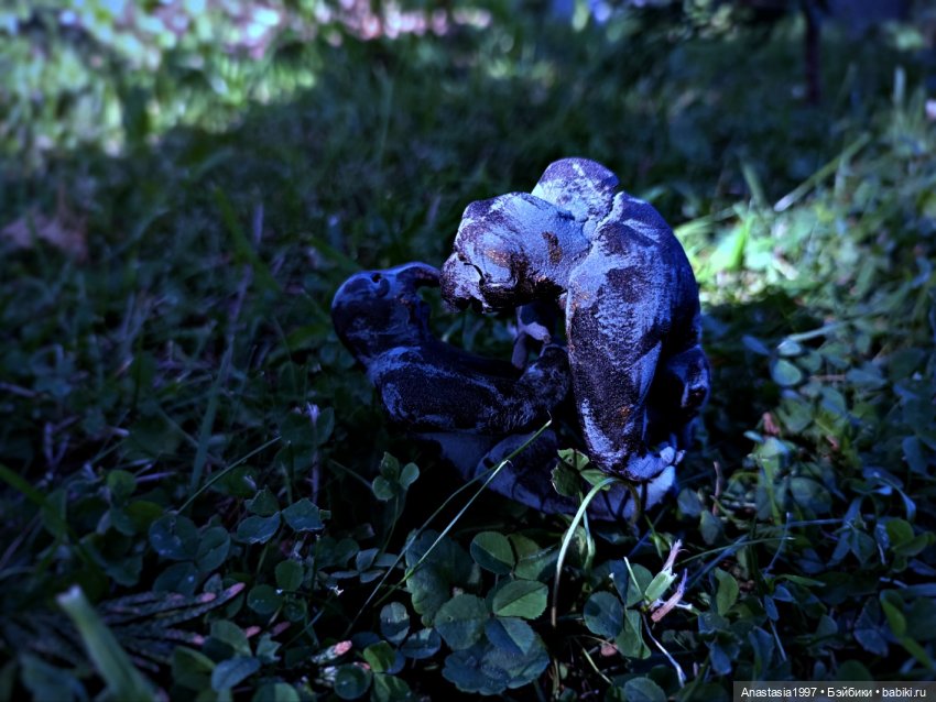 Школа Добра и Зла /Принцесса или ведьма /серия 10 /Плохая группа /часть 2