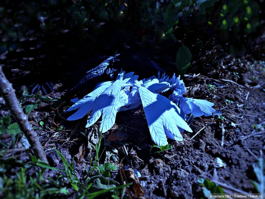 Школа Добра и Зла /Принцесса или ведьма /серия 10 /Плохая группа /часть 1