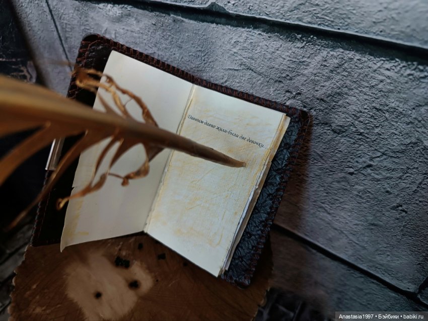 Школа Добра и Зла /Принцесса или ведьма /серия 11 /Загадка директора школы /часть 1