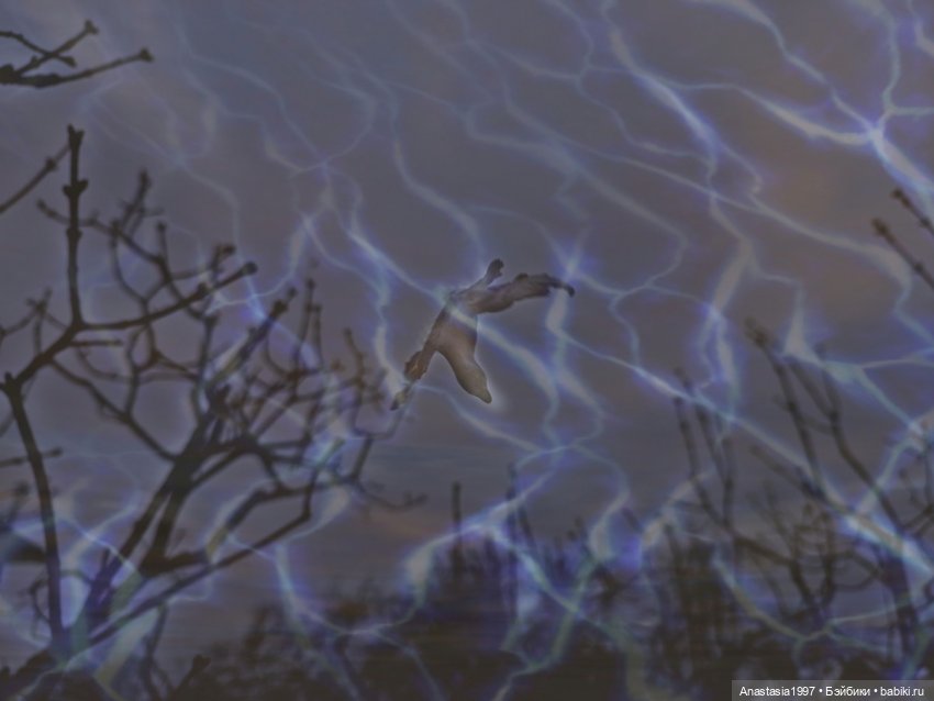 Школа Добра и Зла /Принцесса или ведьма /серия 21 /Испытание Сказкой /часть 1 (фото 7)