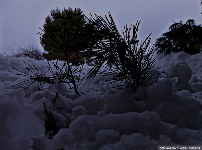 Школа Добра и Зла /Принцесса или ведьма /серия 21 /Испытание Сказкой /часть 2