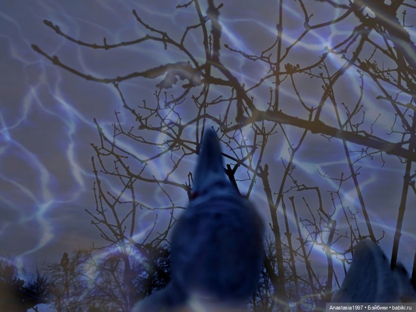 Школа Добра и Зла /Принцесса или ведьма /серия 21 /Испытание Сказкой /часть 1