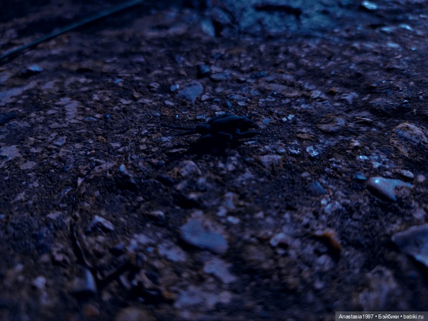 Школа Добра и Зла /Принцесса или ведьма /серия 18 /Таракан и лиса /часть 2