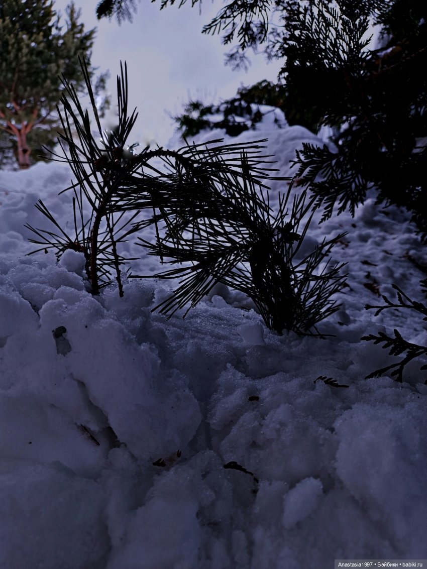 Школа Добра и Зла /Принцесса или ведьма /серия 21 /Испытание Сказкой /часть 2