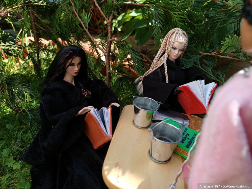 Школа Добра и Зла /Принцесса или ведьма /серия 17 /Новое платье королевы /часть 1