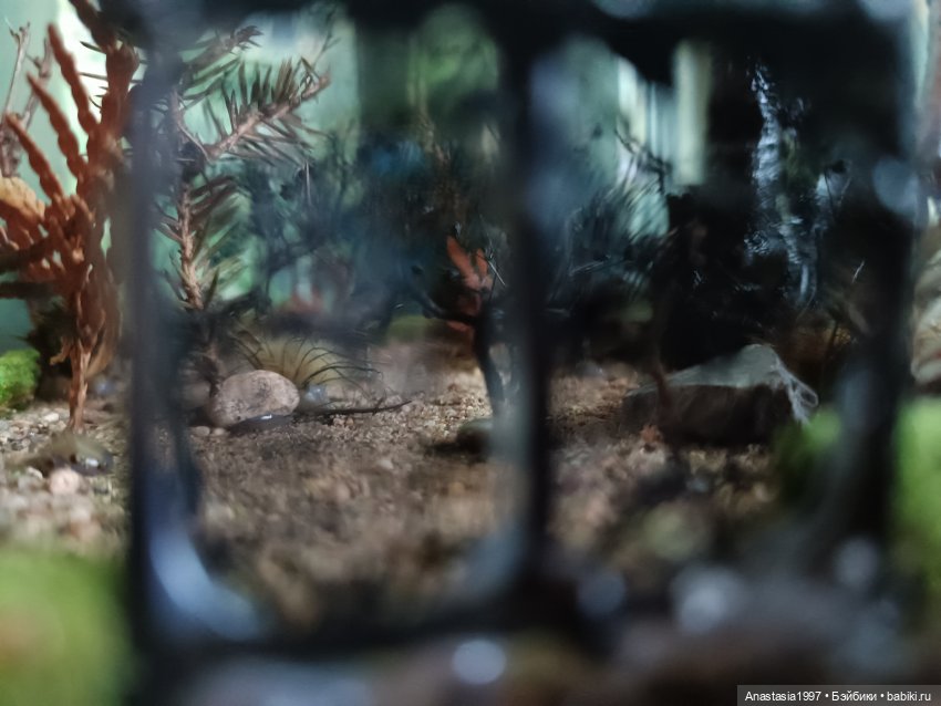 Создание диорамы сказочной школы