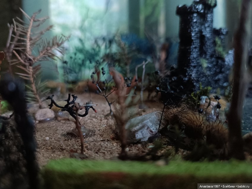 Создание диорамы сказочной школы