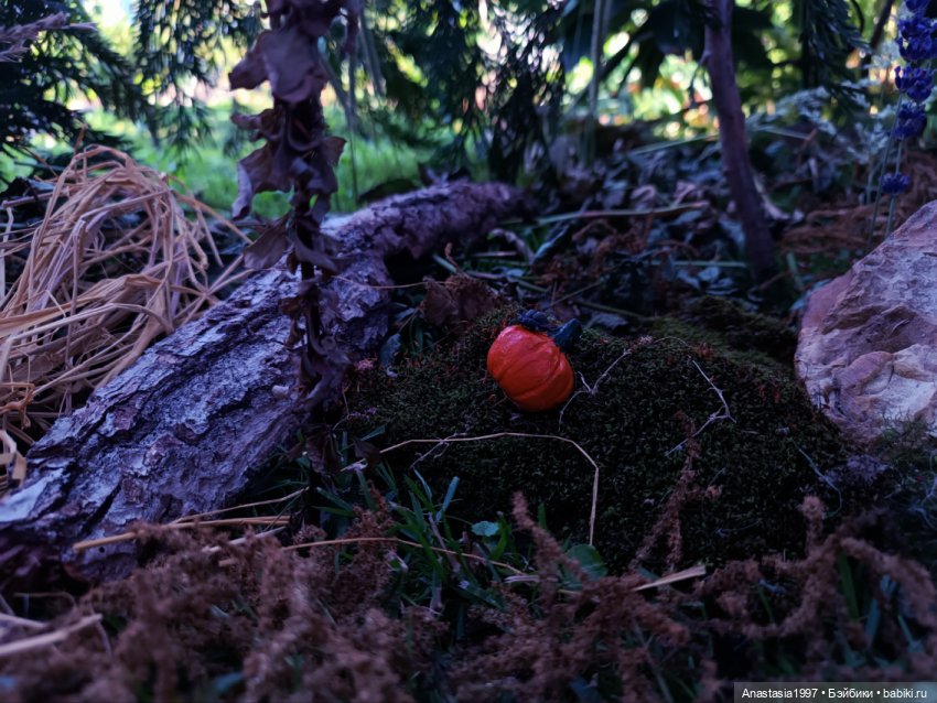 Школа Добра и Зла /Принцесса или ведьма /серия 18 /Таракан и лиса /часть 2 (фото 3)