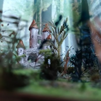 Создание диорамы сказочной школы