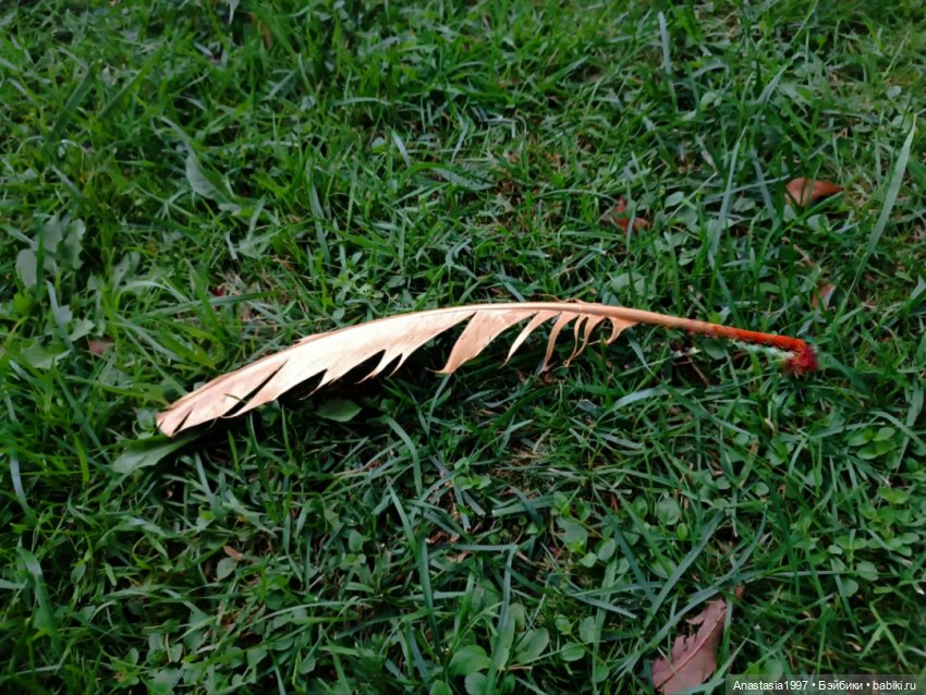 Школа Добра и Зла /Принцесса или ведьма /30 серия /Никогда (финал)