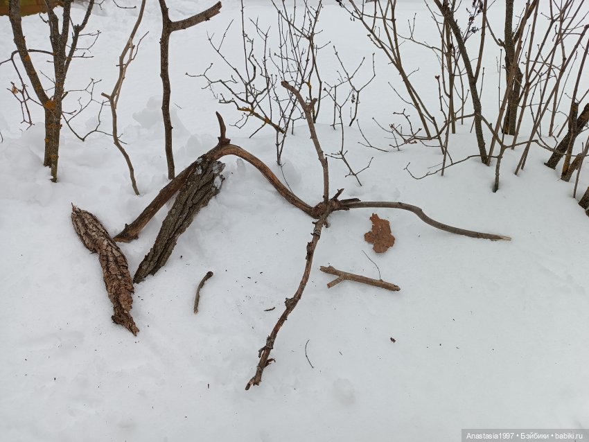 Принцесса или ведьма, бэкстеджи, часть 2