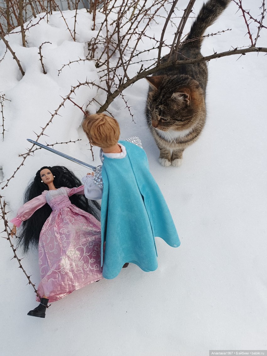 Бэкстейджи сериала Школа Добра и Зла: Принцесса или ведьма, часть 3 (фото 6)