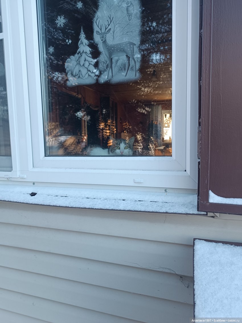 Январский денек — Куклы Integrity Toys (Интегрити): Poppy Parker