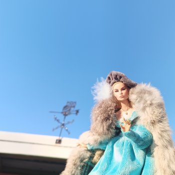 Январский денек