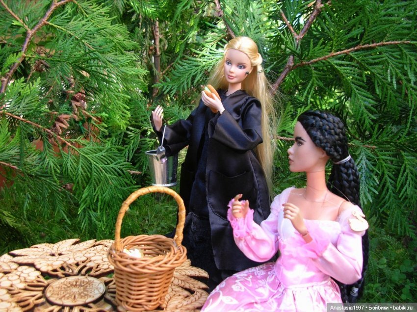 Топик-путеводитель по сериалу "Школа Добра и Зла: Принцесса или ведьма"