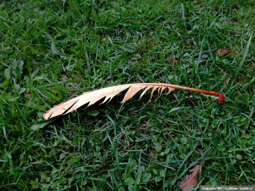 Топик-путеводитель по сериалу "Школа Добра и Зла: Принцесса или ведьма"