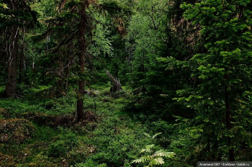 Школа Добра и Зла / Мир без принцев /4 серия /Красные капюшоны /часть 1 (фото 7)
