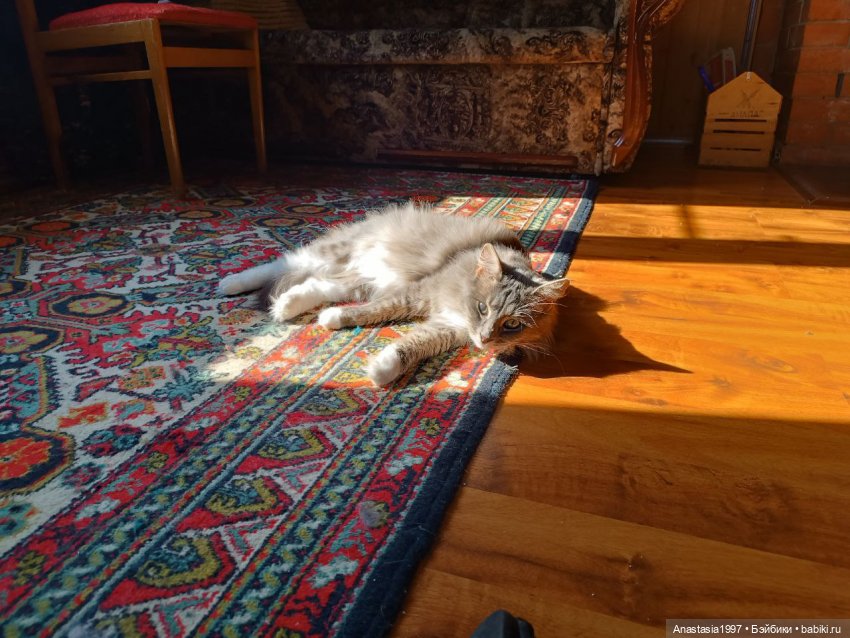 Бэкстейджи второго сезона ШДиЗ: Мир без принцев