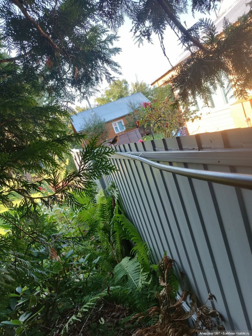 Бэкстейджи второго сезона ШДиЗ: Мир без принцев