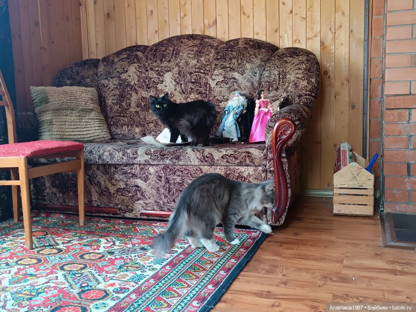 Бэкстейджи второго сезона ШДиЗ: Мир без принцев