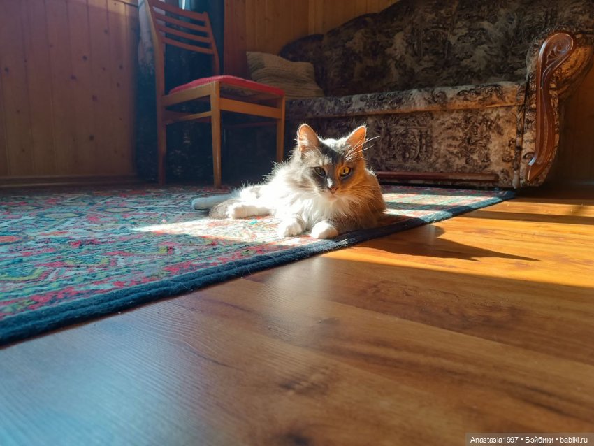 Бэкстейджи второго сезона ШДиЗ: Мир без принцев