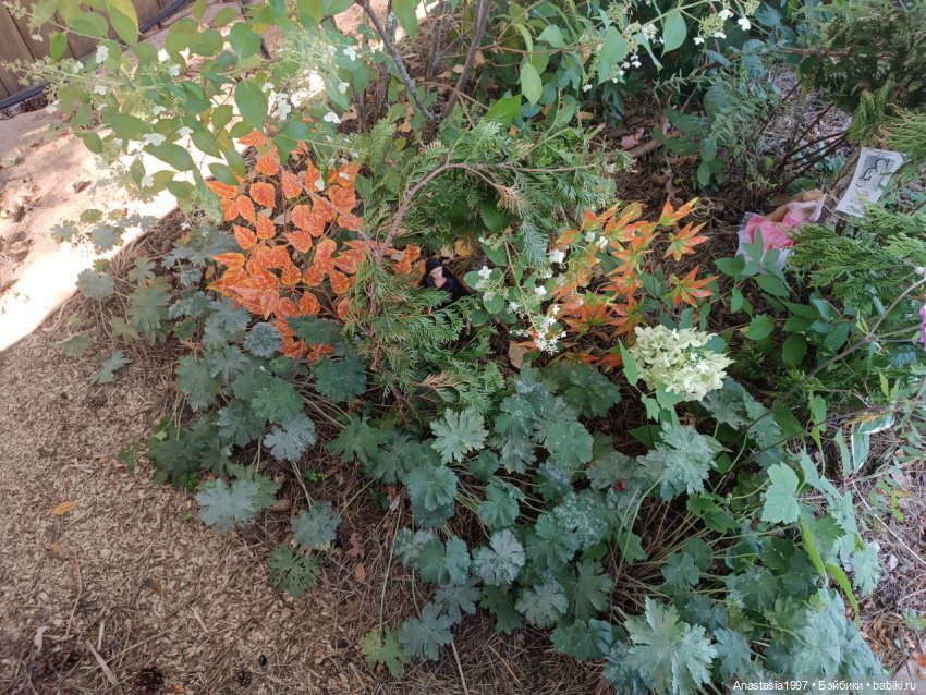 Бэкстейджи второго сезона ШДиЗ: Мир без принцев