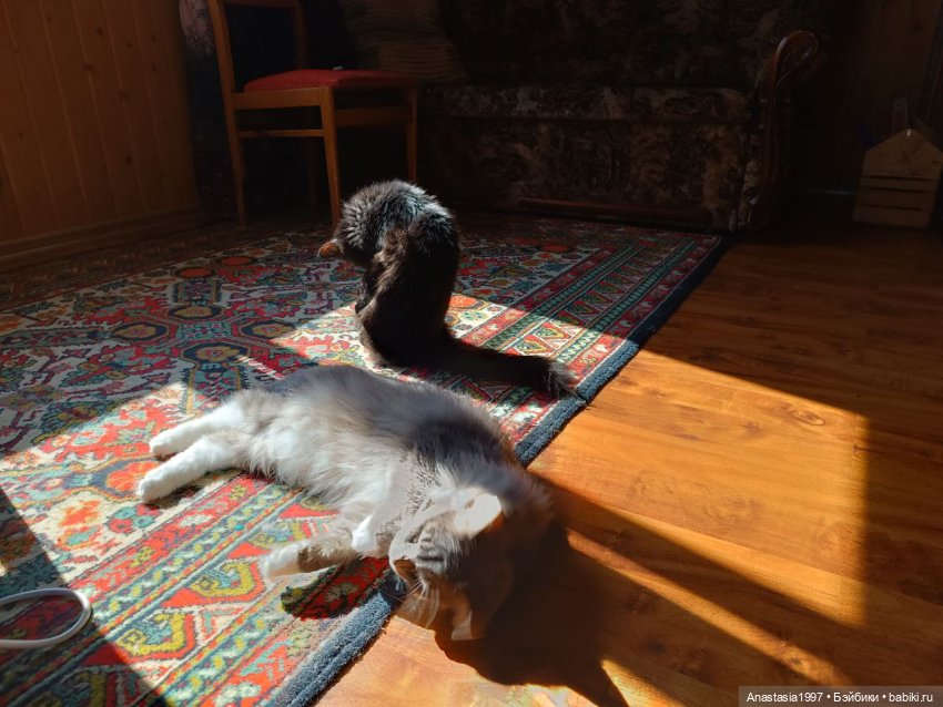 Бэкстейджи второго сезона ШДиЗ: Мир без принцев