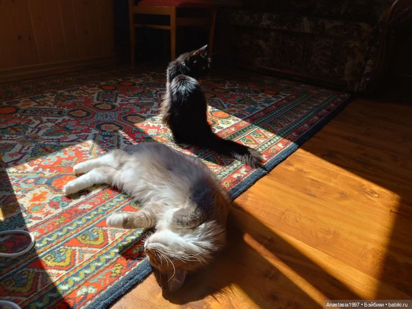 Бэкстейджи второго сезона ШДиЗ: Мир без принцев