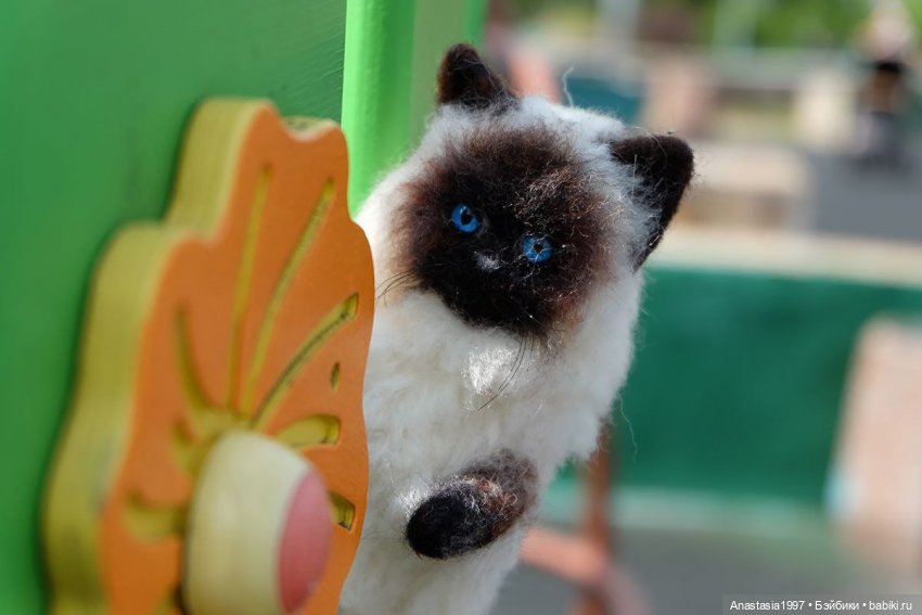 Потеряшки в большом городе (фото 8)