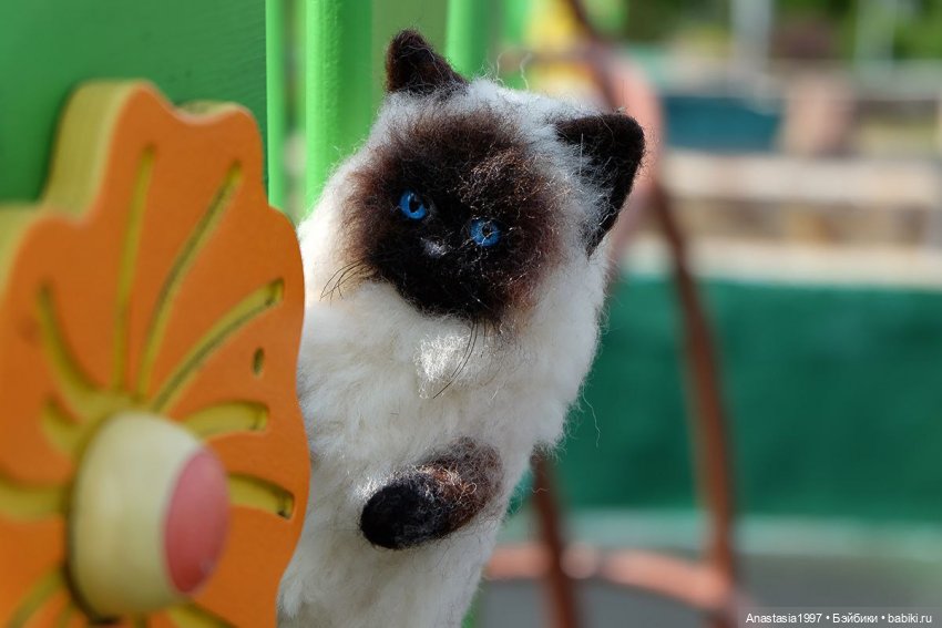 Потеряшки в большом городе (фото 3)