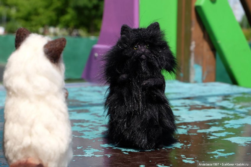 Потеряшки в большом городе (фото 6)