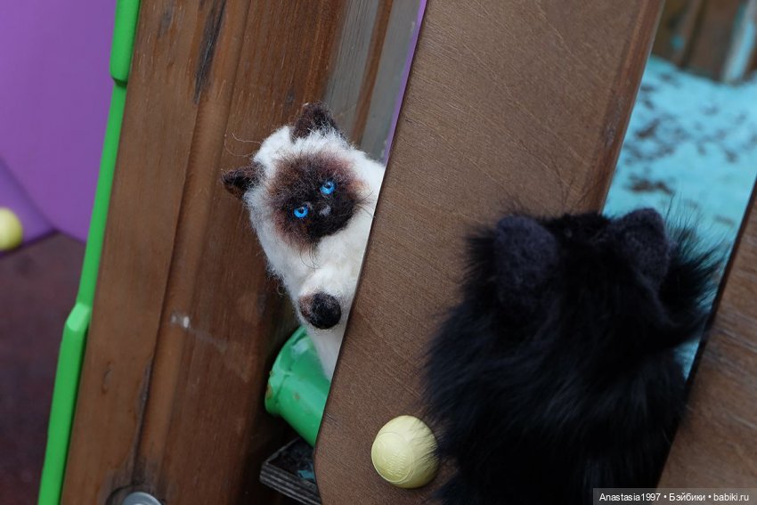 Потеряшки в большом городе (фото 5)