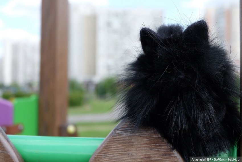 Потеряшки в большом городе (фото 7)