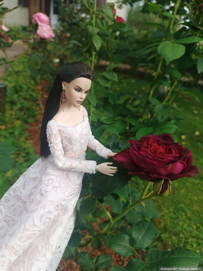 Тулабель, Навия, Колетт и другие /Мои архивы /часть 27