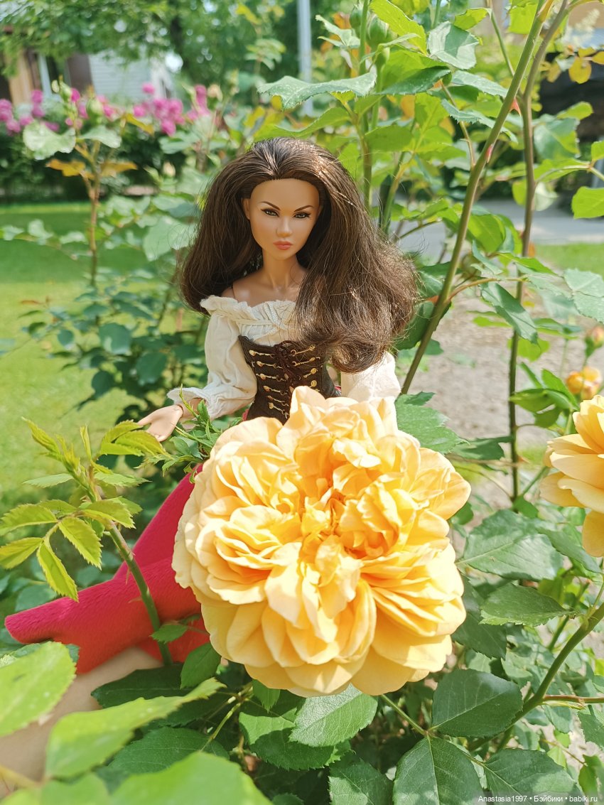 Тулабель, Навия, Колетт и другие /Мои архивы /часть 27