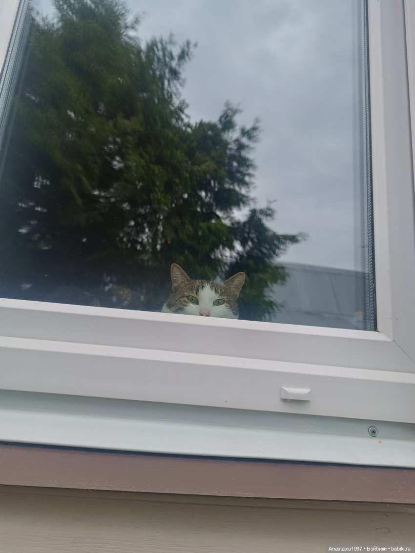 Амавин. Прекрасная музыка