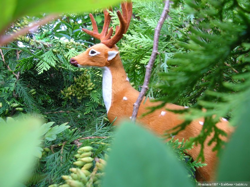 Легенды Шервуда /серия 2 /Мясник