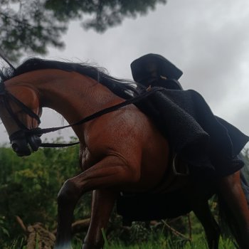 Легенды Шервуда /серия 11 /Султан Арагонский