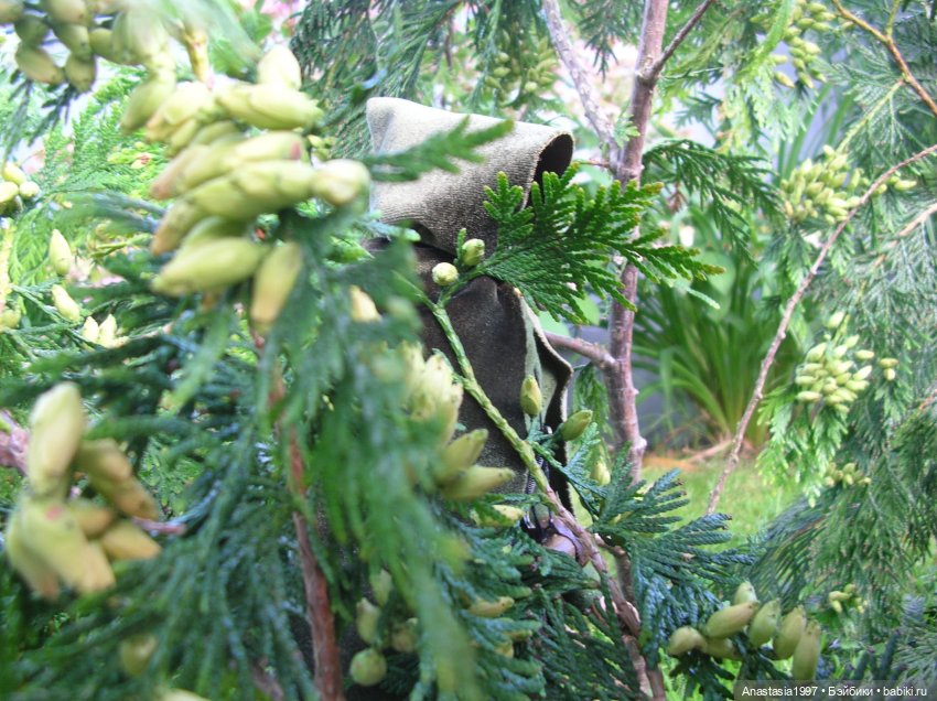 Легенды Шервуда /серия 10 /Гай Гисборн | Бэйбики Легенды Шервуда /серия 10 /Гай Гисборн