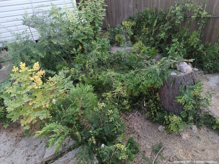 Закулисье сериала "Легенды Шервуда"