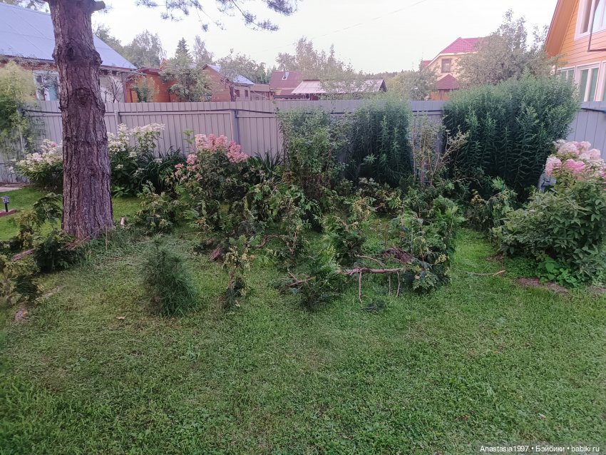 Закулисье сериала "Легенды Шервуда"