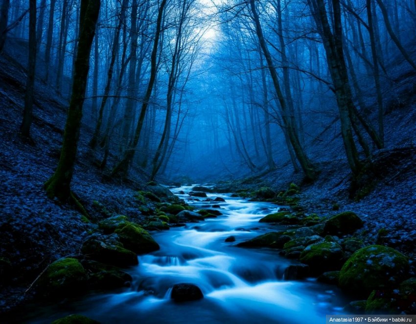 Школа Добра и Зла /Последнее "Долго и счастливо" /6 серия /Не синий больше Синий лес /часть 3