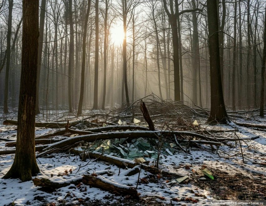Школа Добра и Зла /Последнее "Долго и счастливо" /8 серия /Когда все идет из рук вон плохо /часть 2 (фото 3)