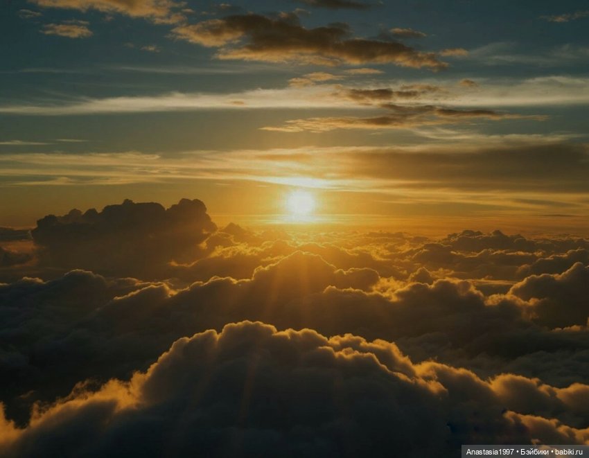 Школа Добра и Зла /Последнее "Долго и счастливо" /6 серия /Не синий больше Синий лес /часть 3