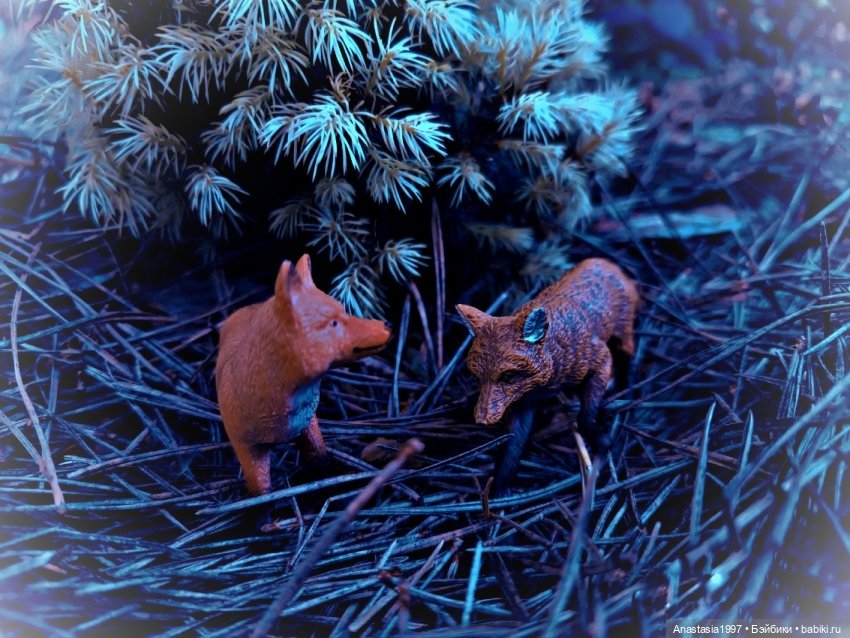 Школа Добра и Зла /Последнее "Долго и счастливо" /6 серия /Не синий больше Синий лес /часть 4 (фото 3)