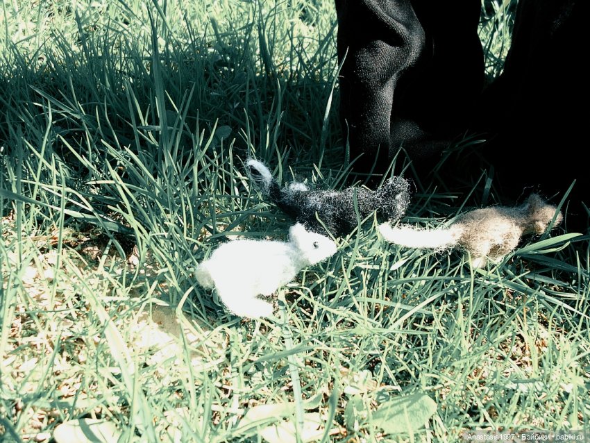 Школа Добра и Зла /Последнее "Долго и счастливо" /16 серия /Эдгар и Эсса /часть 2